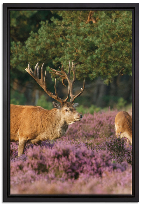 Hirschfamilie Frühling auf Leinwandbild gerahmt Größe 60x40