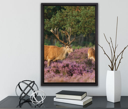 Hirschfamilie Frühling auf Leinwandbild gerahmt mit Kirschblüten
