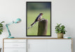 Rauchschwalbe auf Stacheldraht auf Leinwandbild gerahmt verschiedene Größen im Wohnzimmer