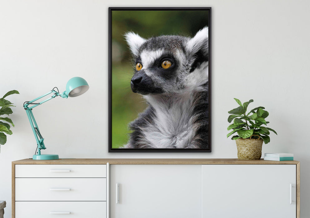 neugieriger Katta auf Leinwandbild gerahmt verschiedene Größen im Wohnzimmer