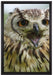 große Waldeule gähnt auf Leinwandbild gerahmt Größe 60x40