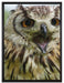 große Waldeule gähnt auf Leinwandbild gerahmt Größe 80x60