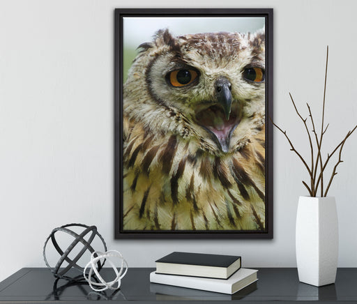 große Waldeule gähnt auf Leinwandbild gerahmt mit Kirschblüten