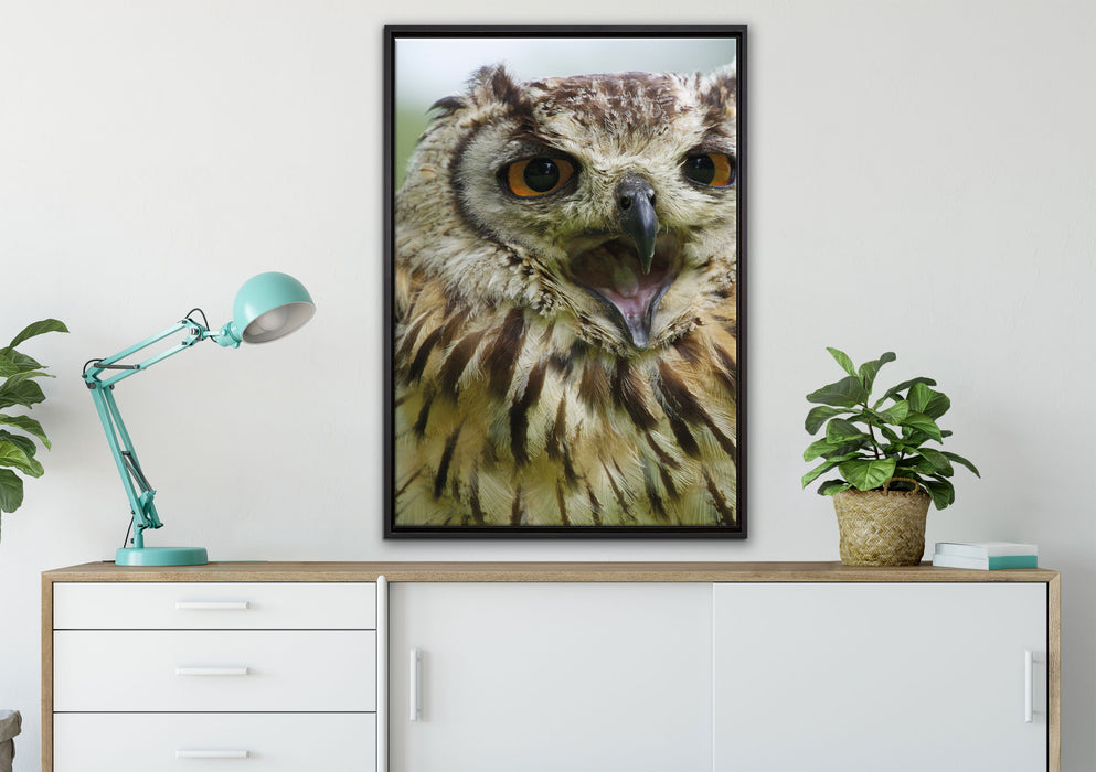 große Waldeule gähnt auf Leinwandbild gerahmt verschiedene Größen im Wohnzimmer
