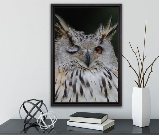 Waldohreule zwinkert auf Leinwandbild gerahmt mit Kirschblüten