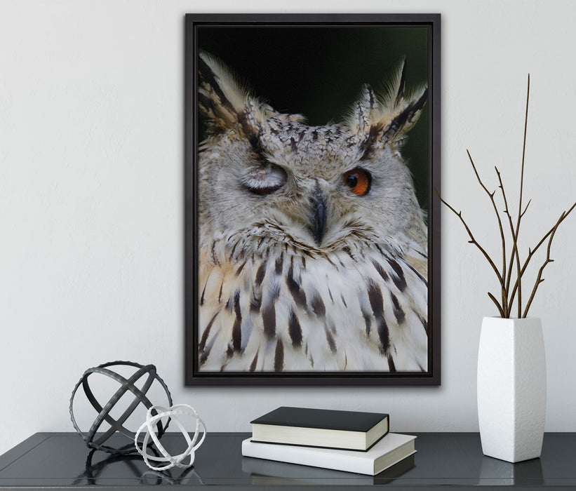 Waldohreule zwinkert auf Leinwandbild gerahmt mit Kirschblüten