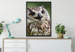 sehr müde Waldeule auf Leinwandbild gerahmt verschiedene Größen im Wohnzimmer
