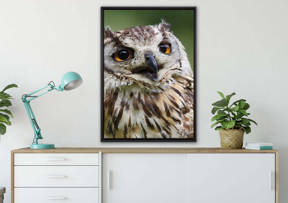 sehr müde Waldeule auf Leinwandbild gerahmt verschiedene Größen im Wohnzimmer