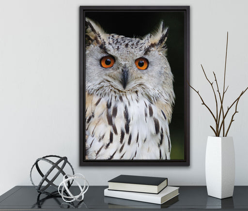 aufmerksame Waldohreule auf Leinwandbild gerahmt mit Kirschblüten
