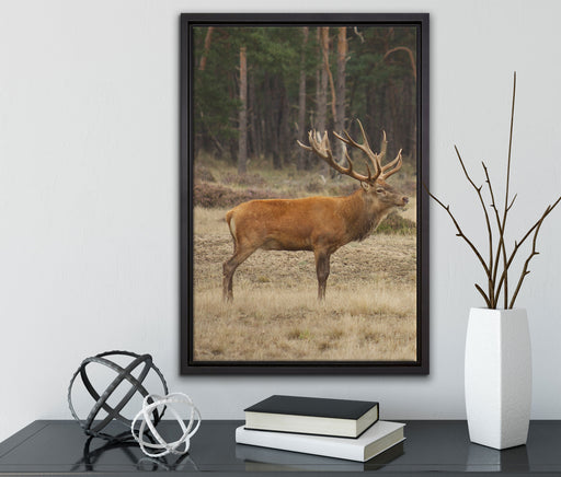 Hirschfamilie auf Waldlichtung auf Leinwandbild gerahmt mit Kirschblüten