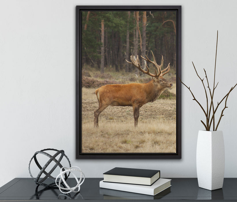 Hirschfamilie auf Waldlichtung auf Leinwandbild gerahmt mit Kirschblüten