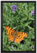 Schmetterling auf Blumenwiese auf Leinwandbild gerahmt Größe 60x40