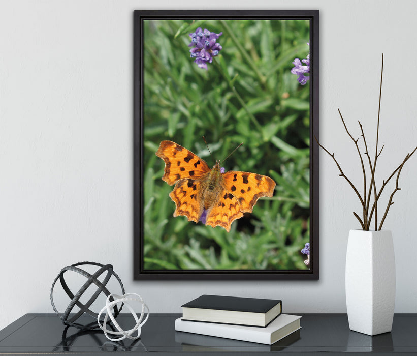 Schmetterling auf Blumenwiese auf Leinwandbild gerahmt mit Kirschblüten