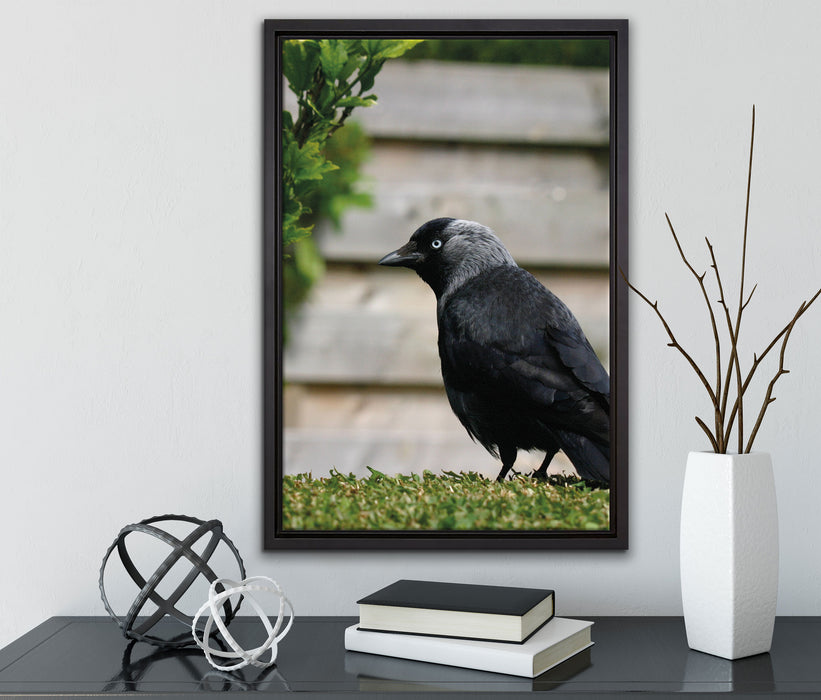 Vogel auf Gartenwiese auf Leinwandbild gerahmt mit Kirschblüten