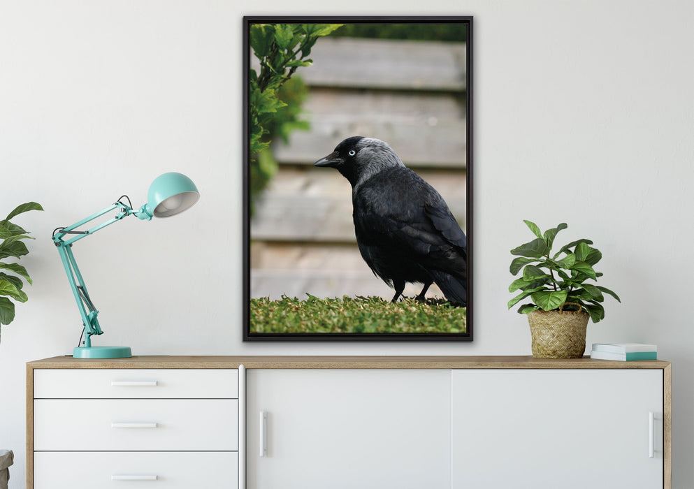 Vogel auf Gartenwiese auf Leinwandbild gerahmt verschiedene Größen im Wohnzimmer