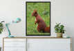 Eichhörnchen auf Leinwandbild gerahmt verschiedene Größen im Wohnzimmer