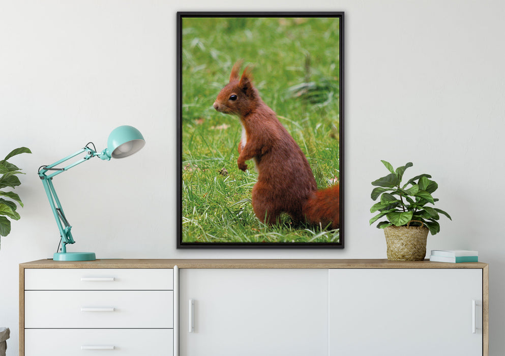 Eichhörnchen auf Leinwandbild gerahmt verschiedene Größen im Wohnzimmer