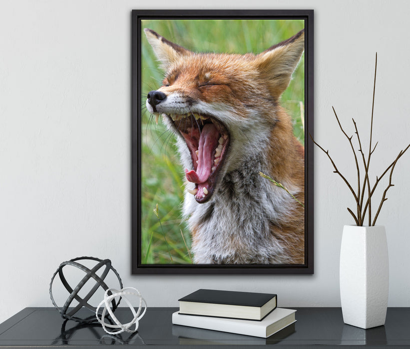 müder Fuchs auf Wildwiese auf Leinwandbild gerahmt mit Kirschblüten