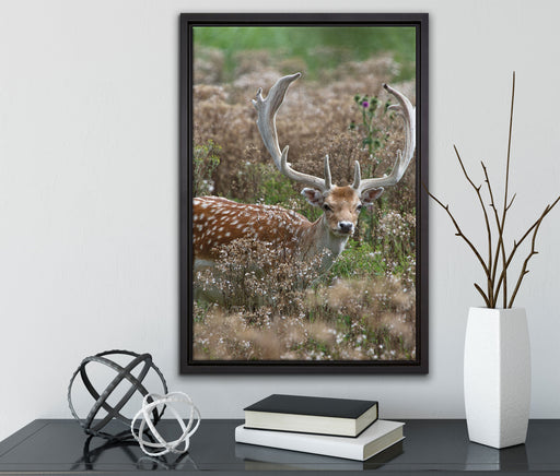 Axishirsch auf Wildwiese auf Leinwandbild gerahmt mit Kirschblüten