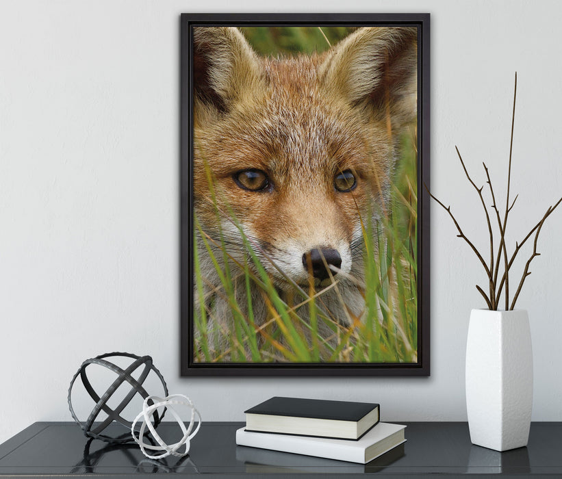 junger Fuchs auf Wiese auf Leinwandbild gerahmt mit Kirschblüten