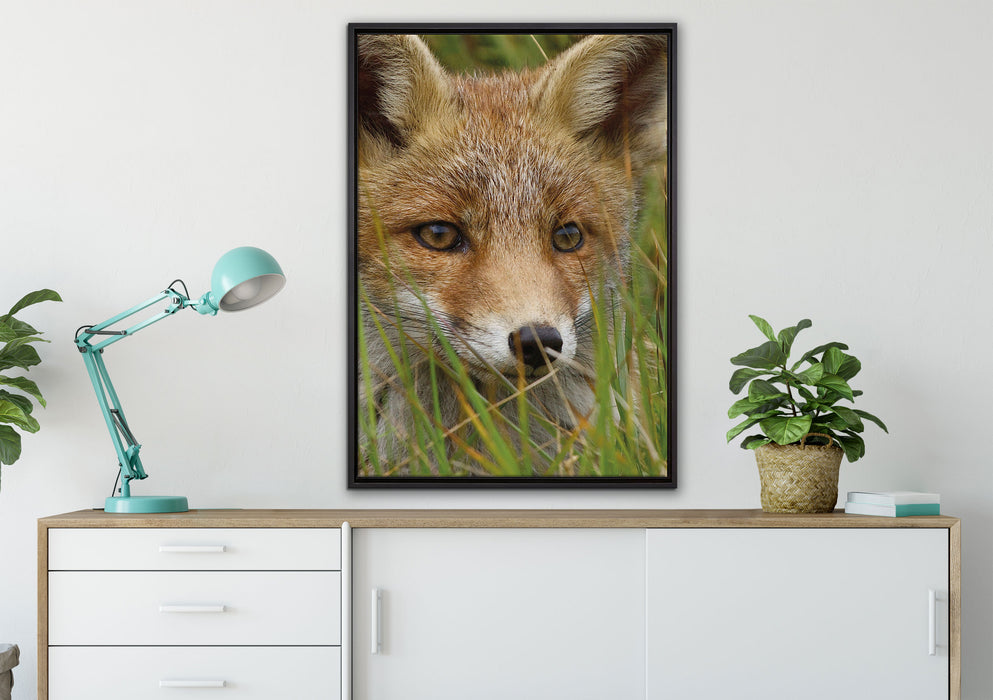junger Fuchs auf Wiese auf Leinwandbild gerahmt verschiedene Größen im Wohnzimmer