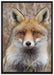 aufmerksamer Fuchs im Geäst auf Leinwandbild gerahmt Größe 100x70