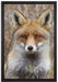 aufmerksamer Fuchs im Geäst auf Leinwandbild gerahmt Größe 60x40