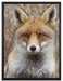 aufmerksamer Fuchs im Geäst auf Leinwandbild gerahmt Größe 80x60