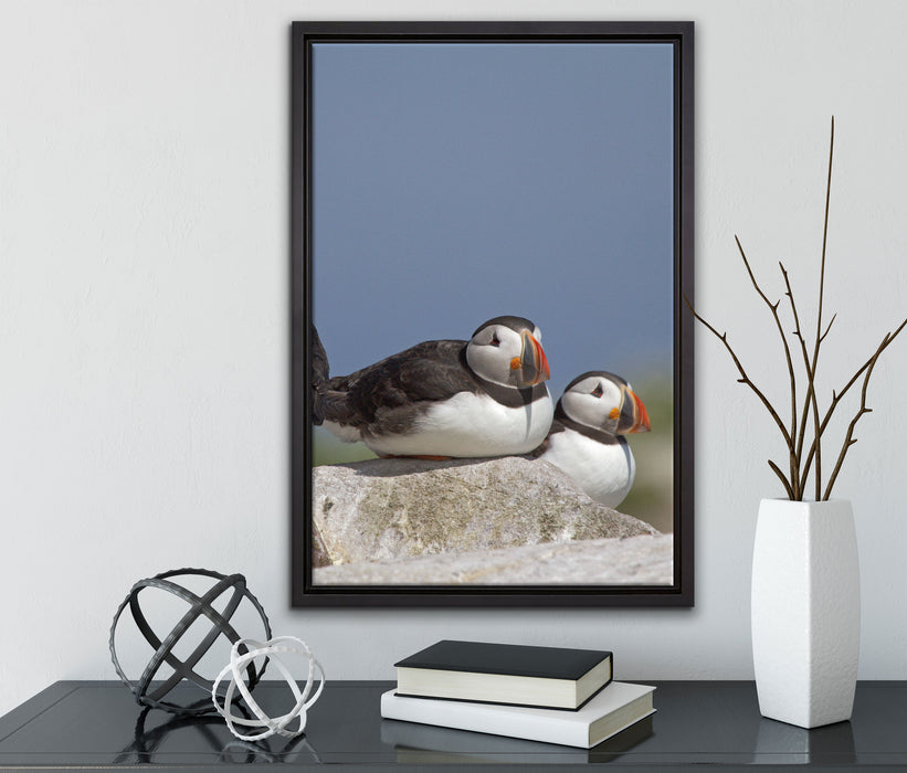 drei Papageitaucher auf Felsen auf Leinwandbild gerahmt mit Kirschblüten