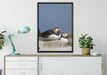 drei Papageitaucher auf Felsen auf Leinwandbild gerahmt verschiedene Größen im Wohnzimmer