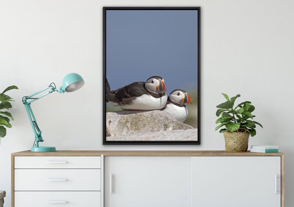 drei Papageitaucher auf Felsen auf Leinwandbild gerahmt verschiedene Größen im Wohnzimmer