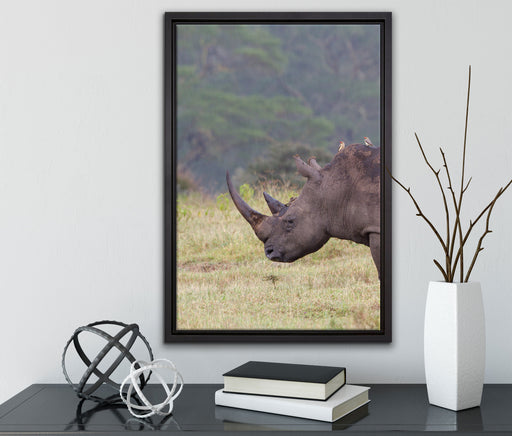großes Nashorn in der Savanne auf Leinwandbild gerahmt mit Kirschblüten