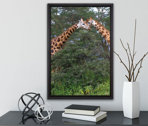 Giraffenpaar in der Savanne auf Leinwandbild gerahmt mit Kirschblüten