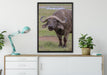 Schlamm Kaffernbüffel auf Leinwandbild gerahmt verschiedene Größen im Wohnzimmer