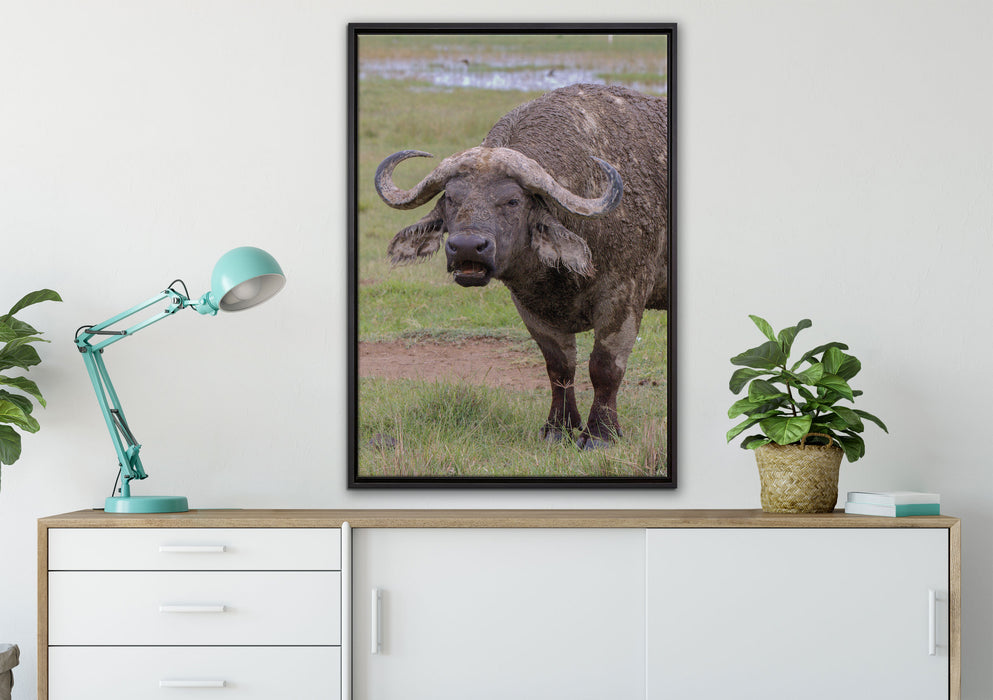 Schlamm Kaffernbüffel auf Leinwandbild gerahmt verschiedene Größen im Wohnzimmer