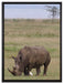 großes Nashorn beim Fressen auf Leinwandbild gerahmt Größe 80x60