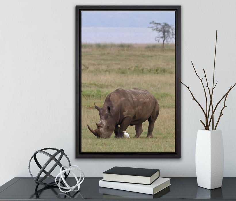 großes Nashorn beim Fressen auf Leinwandbild gerahmt mit Kirschblüten