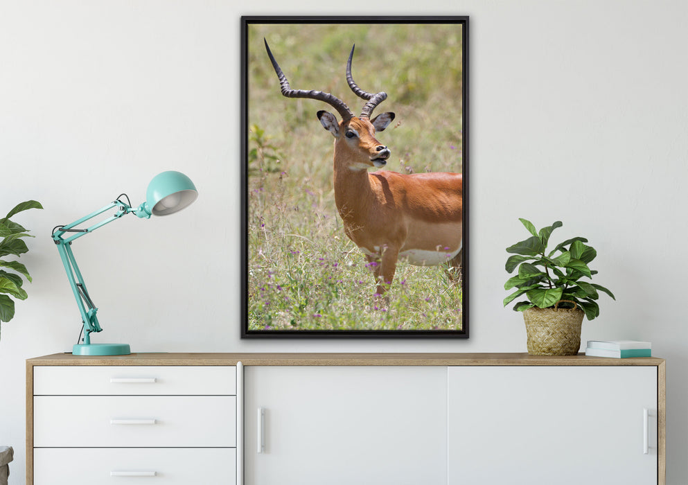 Dorkasgazelle im Wildgras auf Leinwandbild gerahmt verschiedene Größen im Wohnzimmer
