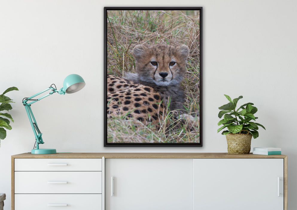 süße junge Geparden im Gras auf Leinwandbild gerahmt verschiedene Größen im Wohnzimmer