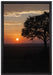 Sonnenaufgang über der Savanne auf Leinwandbild gerahmt Größe 60x40