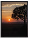 Sonnenaufgang über der Savanne auf Leinwandbild gerahmt Größe 80x60