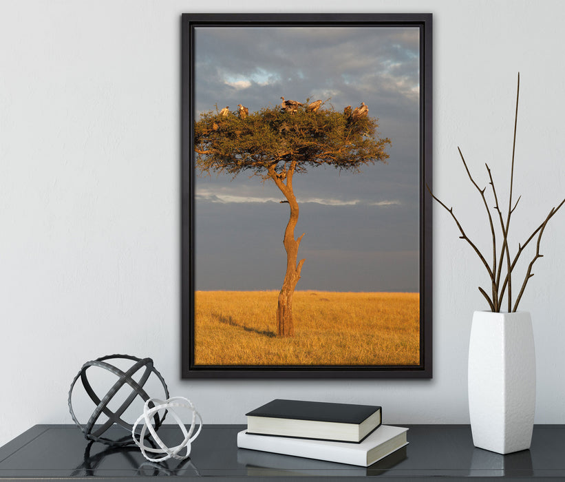 Geierschwarm in der Savanne auf Leinwandbild gerahmt mit Kirschblüten