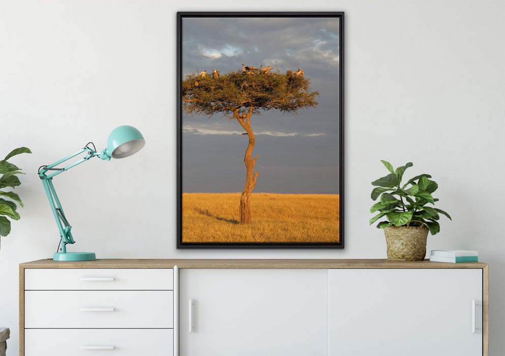 Geierschwarm in der Savanne auf Leinwandbild gerahmt verschiedene Größen im Wohnzimmer