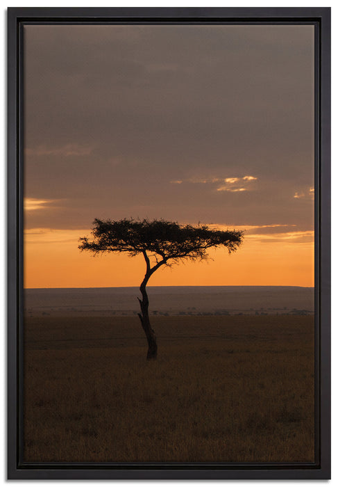 Sonneneinfall in die Savanne auf Leinwandbild gerahmt Größe 60x40