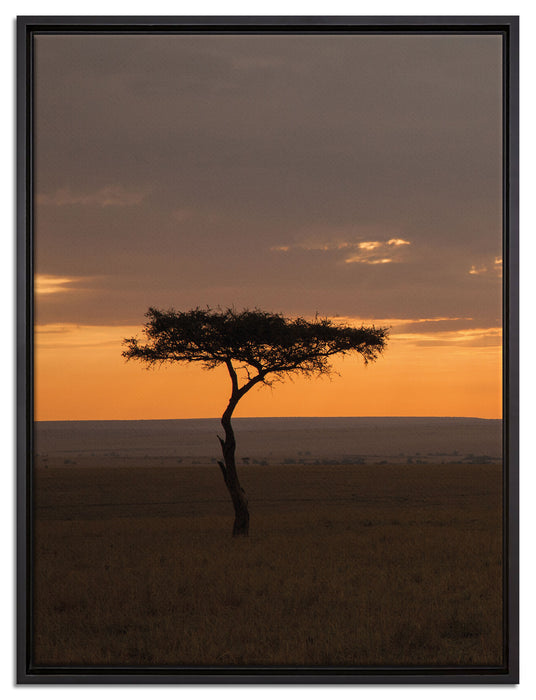 Sonneneinfall in die Savanne auf Leinwandbild gerahmt Größe 80x60