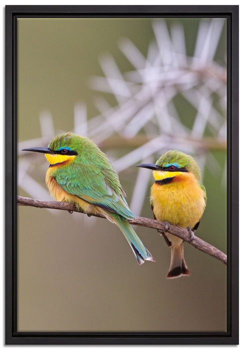 Vögel auf Ast auf Leinwandbild gerahmt Größe 60x40