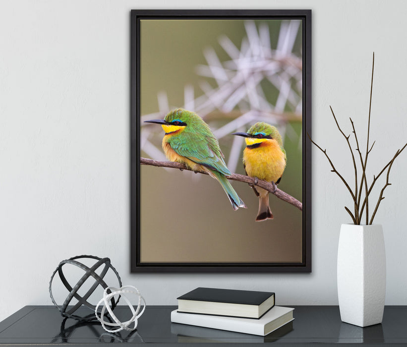 Vögel auf Ast auf Leinwandbild gerahmt mit Kirschblüten