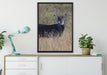 ausgewachsene Dorkasgazelle auf Leinwandbild gerahmt verschiedene Größen im Wohnzimmer