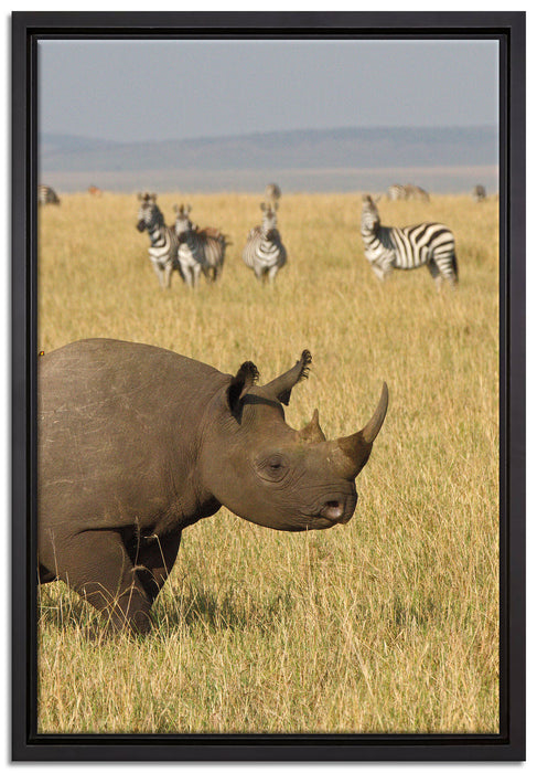 großes Nashorn mit Zebrahorde auf Leinwandbild gerahmt Größe 60x40