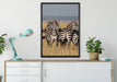 kleine Zebrahorde auf Leinwandbild gerahmt verschiedene Größen im Wohnzimmer